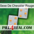 Red Knight Sex 25